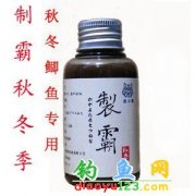 �ưԻ�֮���ﶬ������Сҩ