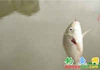 ������������Ʒ���