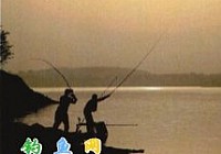 �ļ�ҹ����Ư��λѡ���������