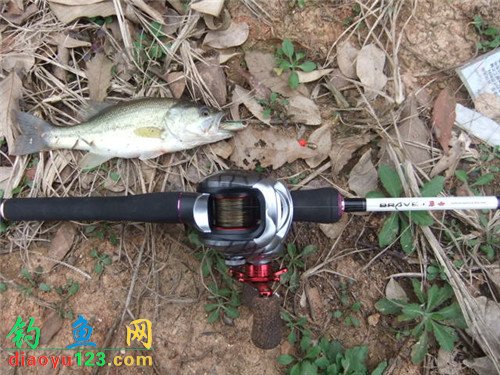 美女勇士枪柄路亚竿配水滴轮路亚鲈鱼