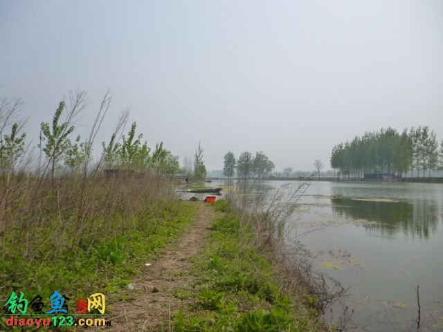 春季钓鱼钓浅滩收获鲫鱼和鲤鱼