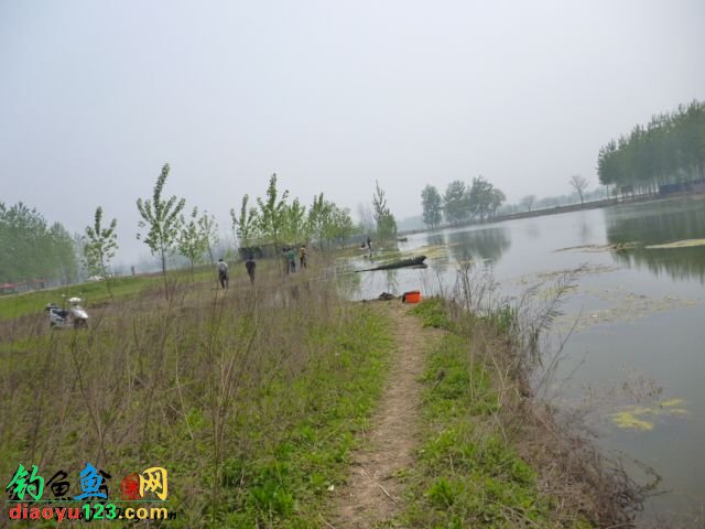 春季钓鱼钓浅滩收获鲫鱼和鲤鱼