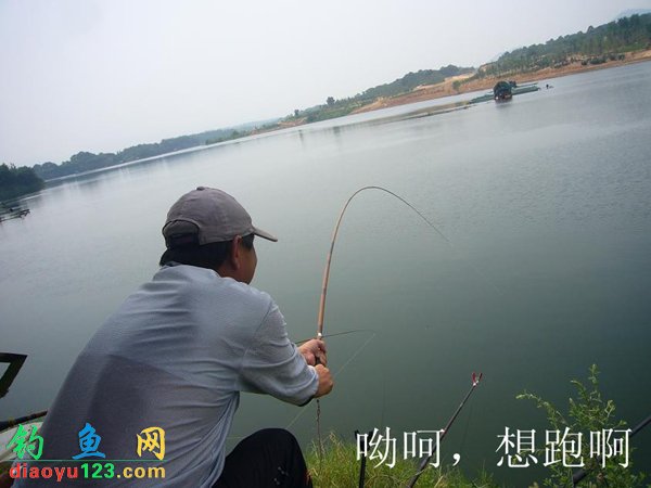 东俊饵水库狂钓鲢鳙钓到爆护_钓鱼人必看_钓
