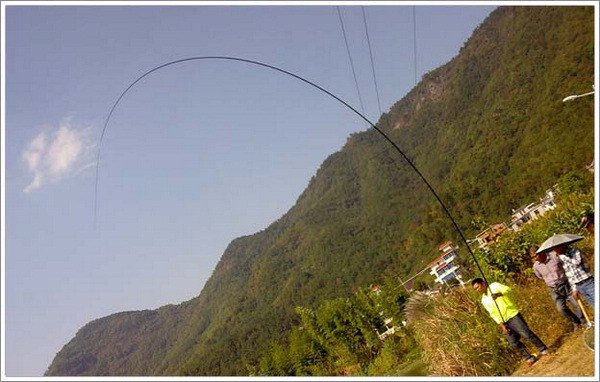 浙江钓友用十米手竿擒获53斤大青鱼_钓鱼人必