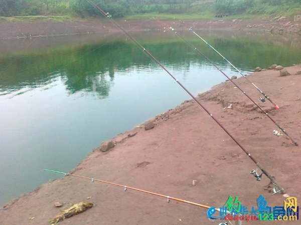 海竿征战四川广安大高滩水库狂钓鲤鱼