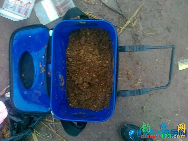 海竿征战四川广安大高滩水库狂钓鲤鱼_钓鱼人