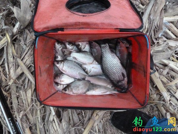 2012年度长竿短线野钓全攻略(上)_钓鱼人必看