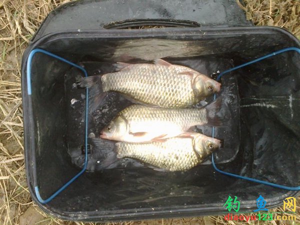 2012年度长竿短线野钓全攻略(下)_钓鱼人必看