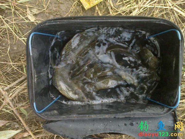 2012年度长竿短线野钓全攻略(下)_钓鱼人必看