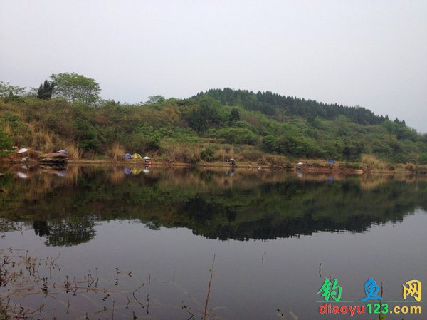 清明征战鲁班教学追大鲤斗蛮草擒大鲫_钓鱼人97视频水库大门图片