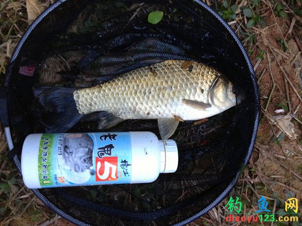清明征战鲁班信条追大鲤斗蛮草擒大鲫_钓鱼人刺客水库操作指南图片