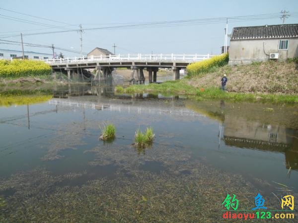 清明时节钓鱼忙小河里面擒黄颡钓大鲫_钓鱼人