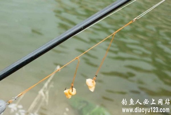 海竿阵地垂钓易水湖终获大青鱼_钓鱼人必看_