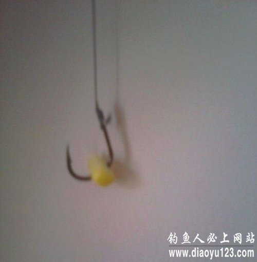 曲酒蜂蜜玉米粒制作(专钓草鱼鲤鱼)_钓鱼人必