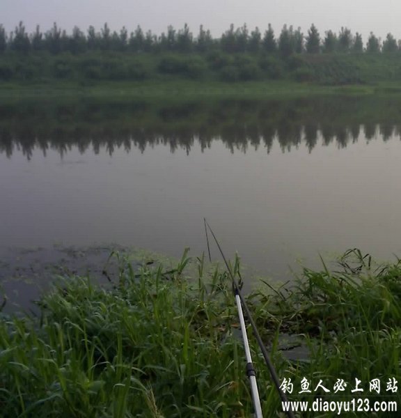 大雨之前爽钓鲫鱼共获五斤多_钓鱼人必看_钓