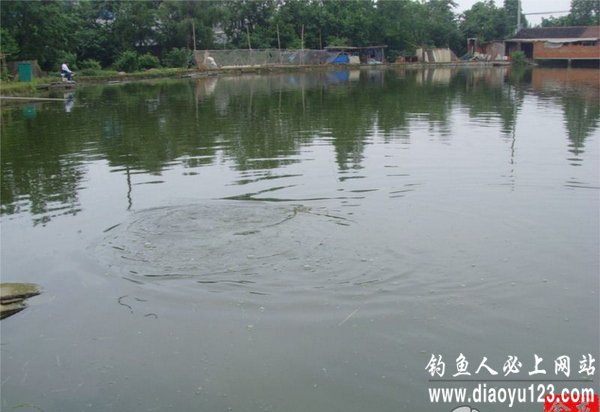 奔牛镇有多少人口_常州新北区奔牛镇(3)