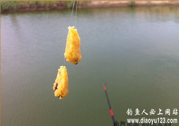 自制纯天然红薯玉米枣香黑坑钓鲤鱼饵料配方_