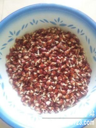 自制中药玉米粒钓鲤鱼饵料配方_钓鱼人必看