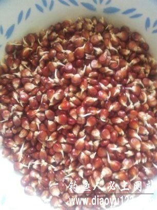 自制中药玉米粒钓鲤鱼饵料配方_钓鱼人必看_