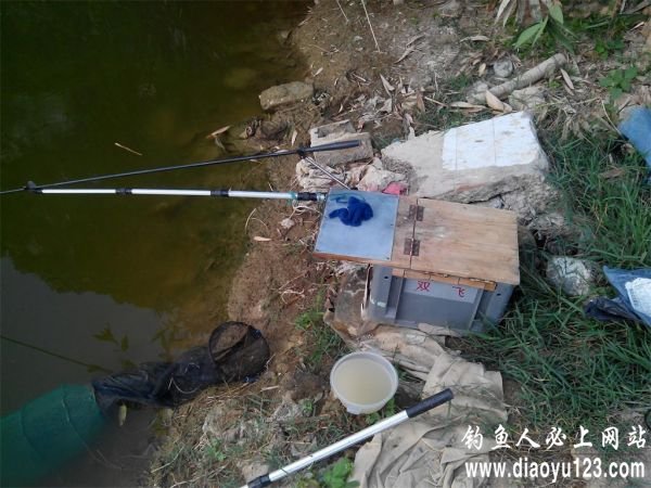 钓鱼很长时间了,四大家鱼里面,鲫鱼、鲤鱼、草鱼都钓过,就是没真正钓过鲢鱼,野钓很少有机会钓鲢鱼,去鱼塘钓的话,塘主一般不让钓鲢鱼,即便钓到鲢鱼也不让拿。偶然的一次机会和一个朋友去钓野塘,塘子里面竟然有鲢鱼,鱼的密度还不小,钓了两次鲢鱼以后,对鲢鱼的钓法也有了自己的经验和感想。