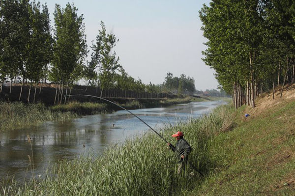 野河蚯蚓作饵垂钓野生鲫鱼_钓鱼人必看
