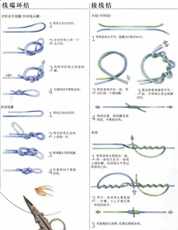 路亚线入门