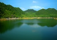 水库垂钓水草边,钓获35斤野生鲫