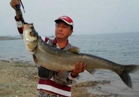鸭河水库路亚之行20斤大翘嘴出水记