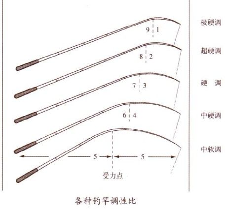 鱼竿调性