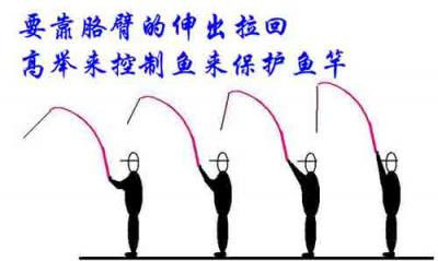 台钓扬竿