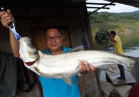垂钓万峰湖擒获数尾大鱼渔获过百斤
