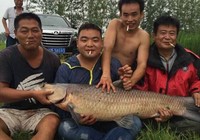 探钓巨物水库擒获68斤大青鱼