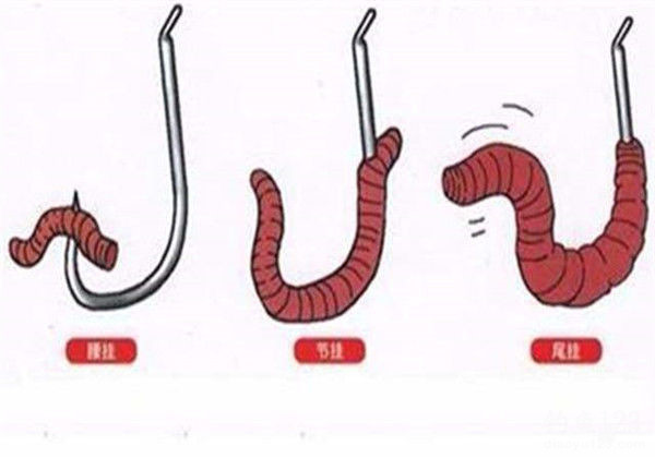 蚯蚓挂钩