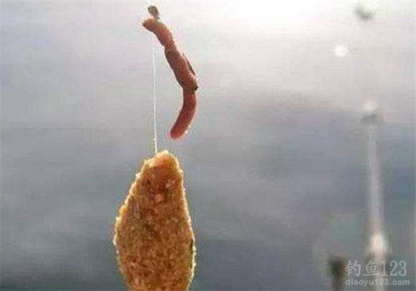 蚯蚓饵