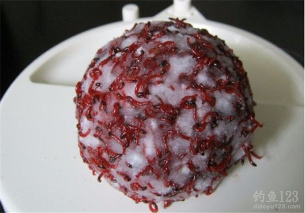 红虫拉饵