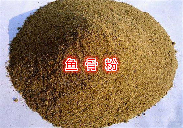 草鱼饵