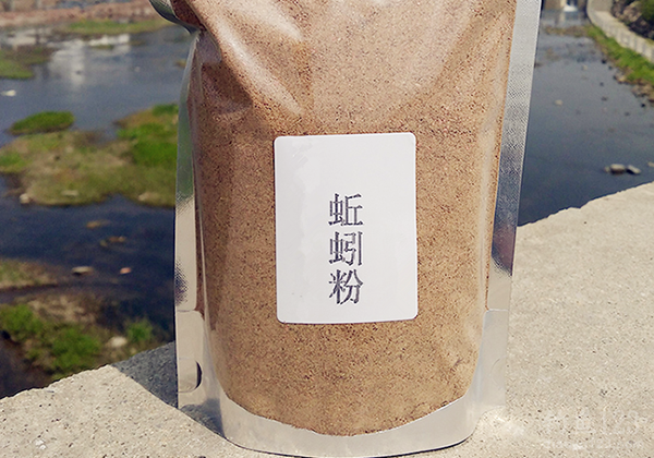 蚯蚓