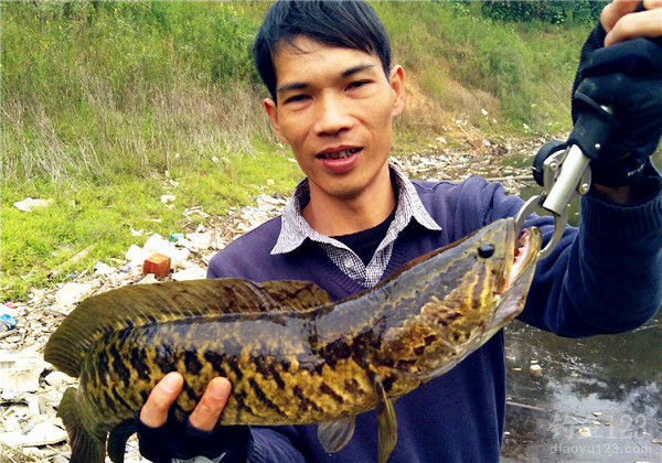钓鱼图片