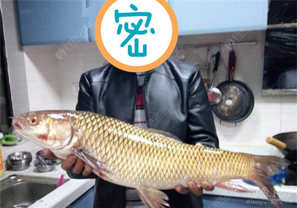 钓鱼图片