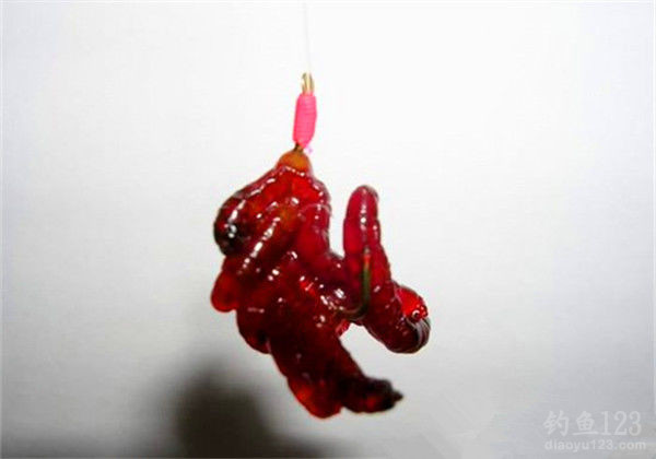 红虫