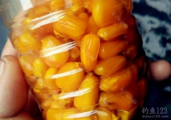 草鱼饵