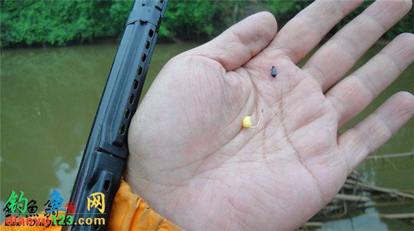 钓鱼技巧 钓法大全 传统钓技巧 传统野钓抖灰面单线双钩钓鲫鱼