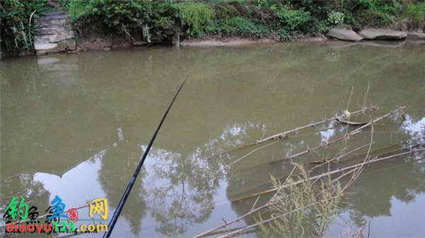 钓鱼技巧 钓法大全 传统钓技巧 传统野钓抖灰面单线双钩钓鲫鱼