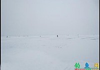 北方冰钓实战技巧(腥饵打窝红虫施钓)