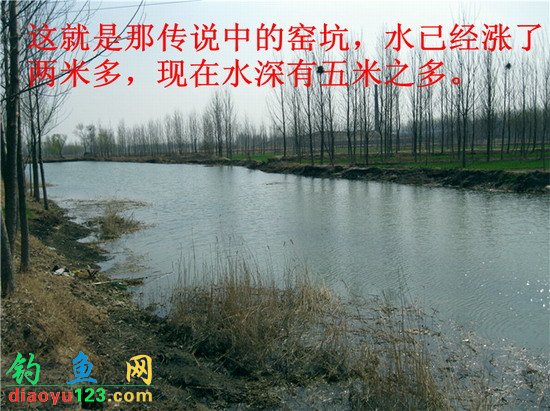 窑坑里面爽钓鲫-暴护